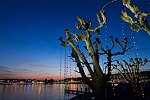 View Feature : Geneve in winter