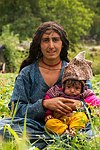 View Feature : Brokpas : The Aryans of the Himalayas