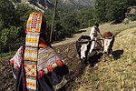 View Feature : Kalash, The Last Pagans of the Hindu Kush
