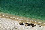 View Feature : The coast