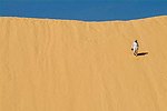 View Feature : Around Sinai Desert