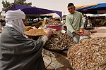 Douz, Thursday's market