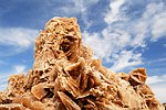 View Feature : Desert Rose